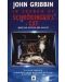 In Search Of Schrodinger`s Cat Updated Edition - 1t